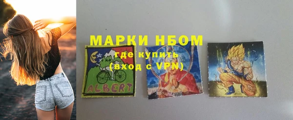 PSILOCYBIN Алзамай