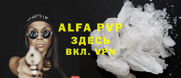 молекула духа Алексеевка