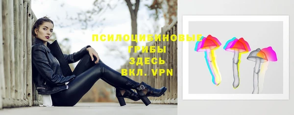 молекула духа Алексеевка