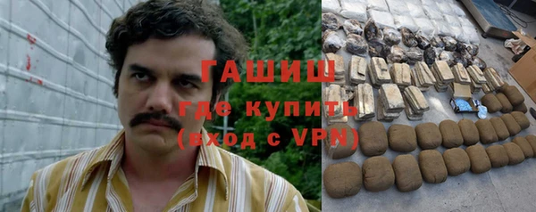 PSILOCYBIN Алзамай