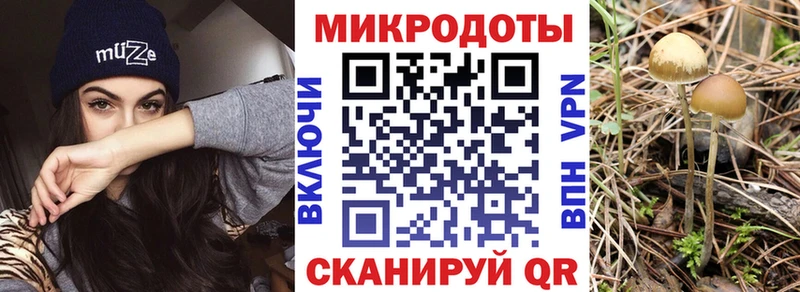 Псилоцибиновые грибы Magic Shrooms  Чайковский 